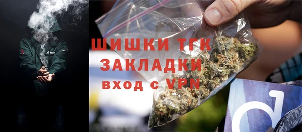 ГАЛЛЮЦИНОГЕННЫЕ ГРИБЫ Краснослободск