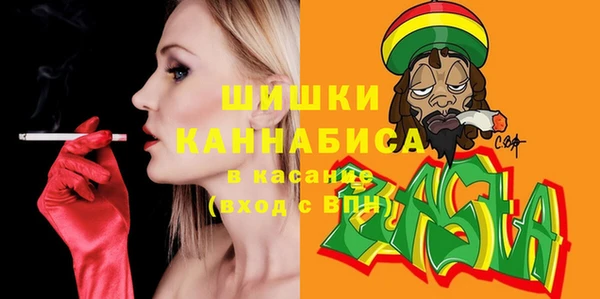 ГАЛЛЮЦИНОГЕННЫЕ ГРИБЫ Краснослободск