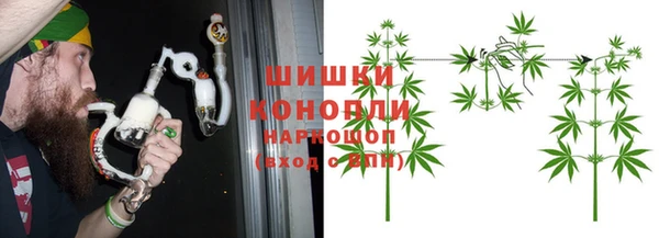ГАЛЛЮЦИНОГЕННЫЕ ГРИБЫ Краснослободск