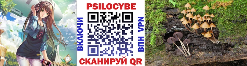Псилоцибиновые грибы Cubensis  где можно купить   Дятьково 
