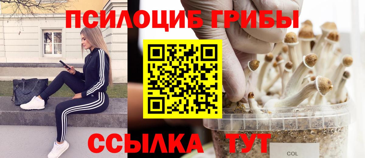 купить наркотик  Псилоцибиновые грибы мухоморы  Вход с VPN  Дятьково 