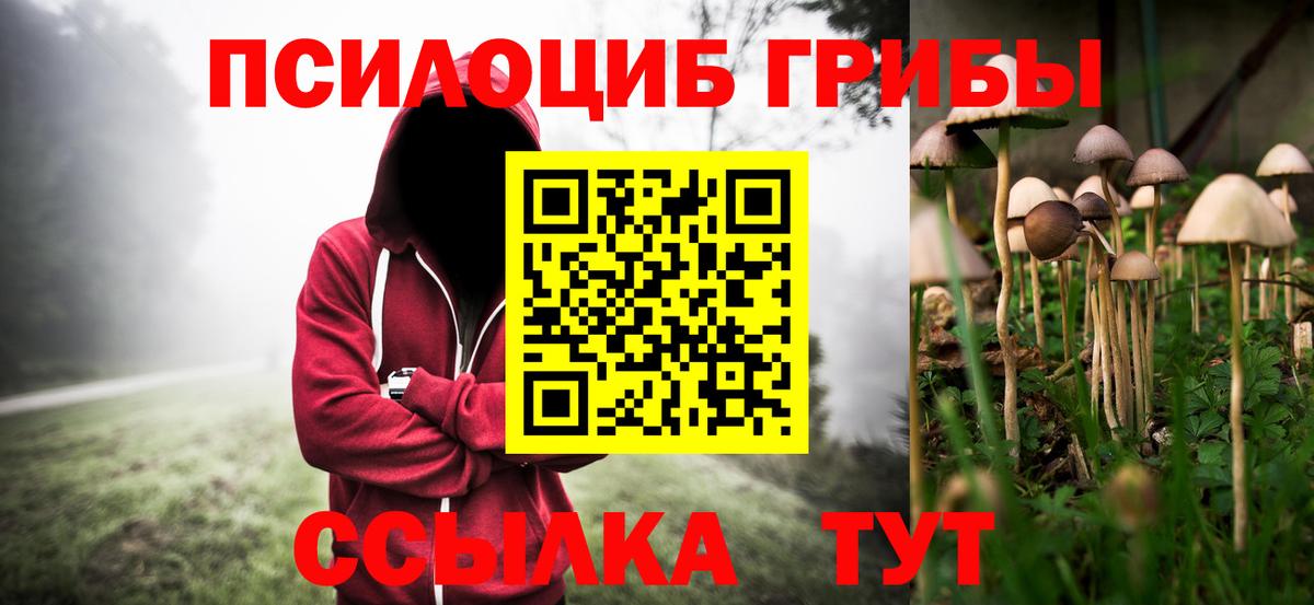 где можно купить наркотик  Дятьково  Псилоцибиновые грибы Psilocybine cubensis  Псилоцибиновые грибы Magic Shrooms 